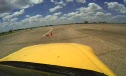 2008 Honda S2000 #92 AS Robert Horton