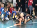 141 lbs. Quarterfinals Hunter Stieber (Ohio State) vs Brandon Nelson (Purdue)