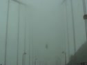 Pea Soup Golden Gate Fog