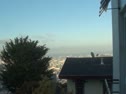 Drypolchers View Of SF