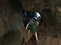 Fallen Hollow Giant