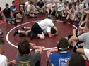 Moos Near Leg Scoop Cradle