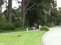 SF State Quad Area