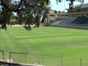 Spanos Stadium @ Cal Poly