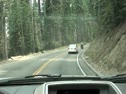 Yosemite Fire