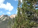 Entering RMNP