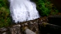 Lower Falls Debate