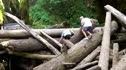 Log Jam Continues