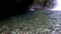 Swimming And Falls Jumping