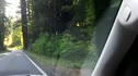 Entering Redwoods