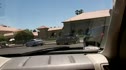 Stanford Palms