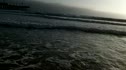Tasty Waves Cal Poly Style