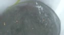 Dawson Lott Glacial Drink