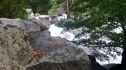 Kings Canyon Whitewater