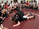 L Stieber -Arm Bar