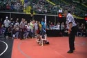 D4 90 Jacob Maynard VS. Trey Grenier