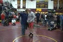 T Bone Miller Tells Tavanello How It Is