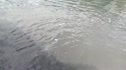 Truck River Driving