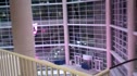 Petersen Event Center @ Pitt