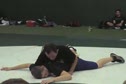 Chris Williams Gut Wrench