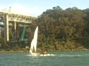 VID00136