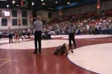 Rees vs. Mandergal