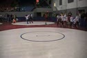 MOV11C