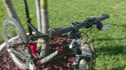2009 Custom Specialized Epic Comp in HD