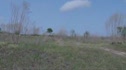 Spur Jump @ Balm Boyette Scrub Preserve in SloMo & HD
