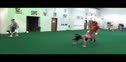 Halloween Workout
