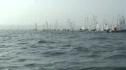 Day 2 Race 2 Yellow Fleet Start