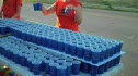 Rogue Nose Running