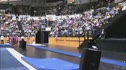 Iowa State (Jody McKellar) - 9.75