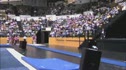 Iowa State (Michelle Browning) - 9.775