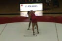 Action from the Cup