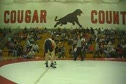 133 finals, Stevenson vs. Garner