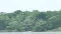 Race 5 Highlights