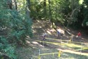 Granogue Day Two Anthony Chases Scherz
