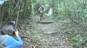PISGAH! Bishop - Craig - Koerber down Turkey Pen Steps