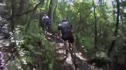 PISGAH Stage 1 Highlights