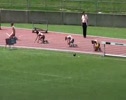 Aust Junior Champs U16 Girls 200mH Heat 1