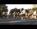 SMH Half Highlights 2010