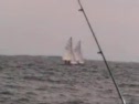 420s Sailing Up to the Mark 8/8 BBR