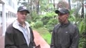 Meb