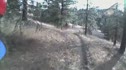 November Single Speed Bliss