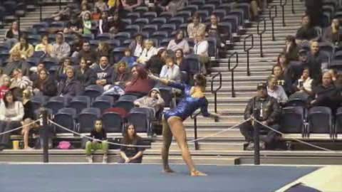 Pitt vs WMU 2010 Floor