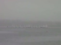 Race 5A Start