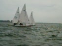 Race 2 Upwind Sailing