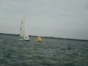 Race 5 Finish