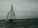Race 8 Downwind